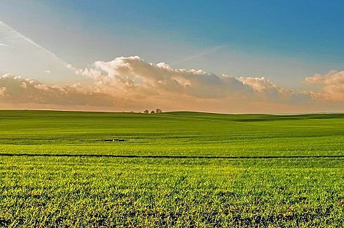 Kentucky Land Buyer Kentucky Land Buyer