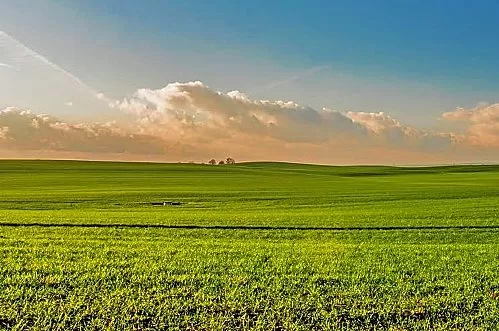 Kentucky Land Buyer