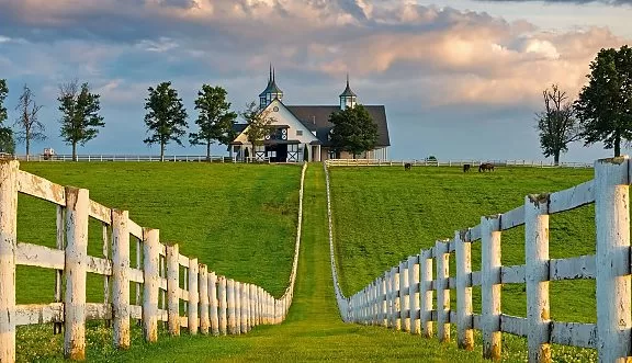 Manchester Farm in Lexington KY