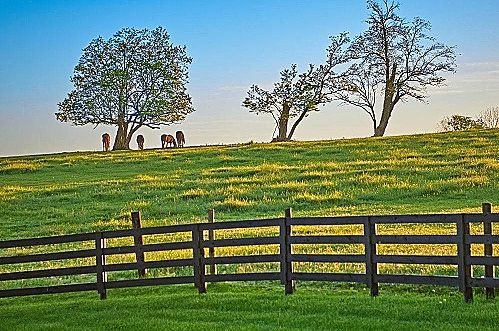 We Buy Kentucky Land We Buy Kentucky Land