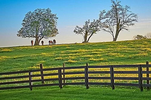We Buy Kentucky Land