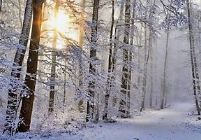 Winter Trail Kentucky Countryside Winter Trail Kentucky Countryside