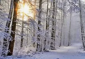 Winter Trail Kentucky Countryside